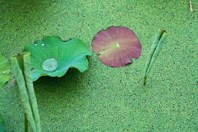 第三方霸榜 Metacritic公布2021年十大好评NS游戏